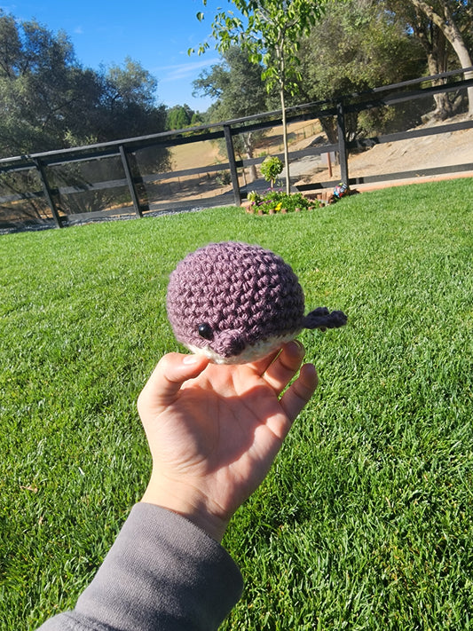 Mini Whales