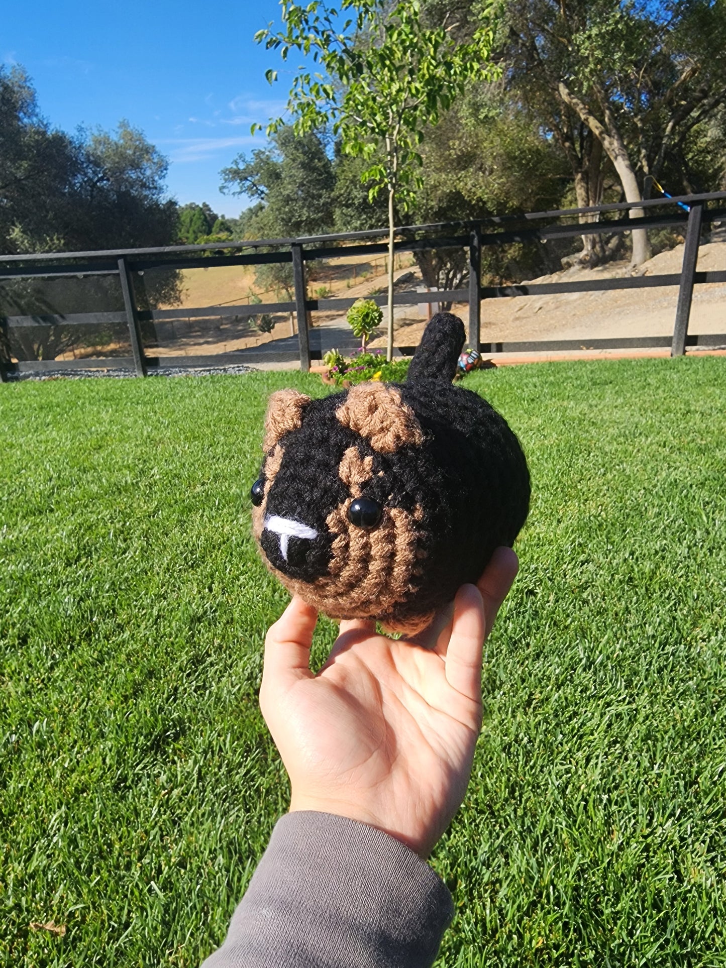 German Sheperd