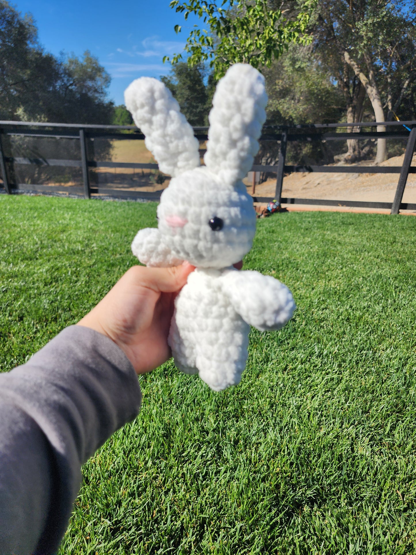 Mini Bunnies