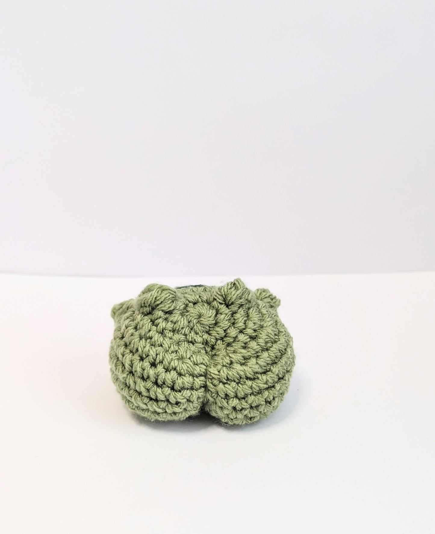 Cheeky Frog
