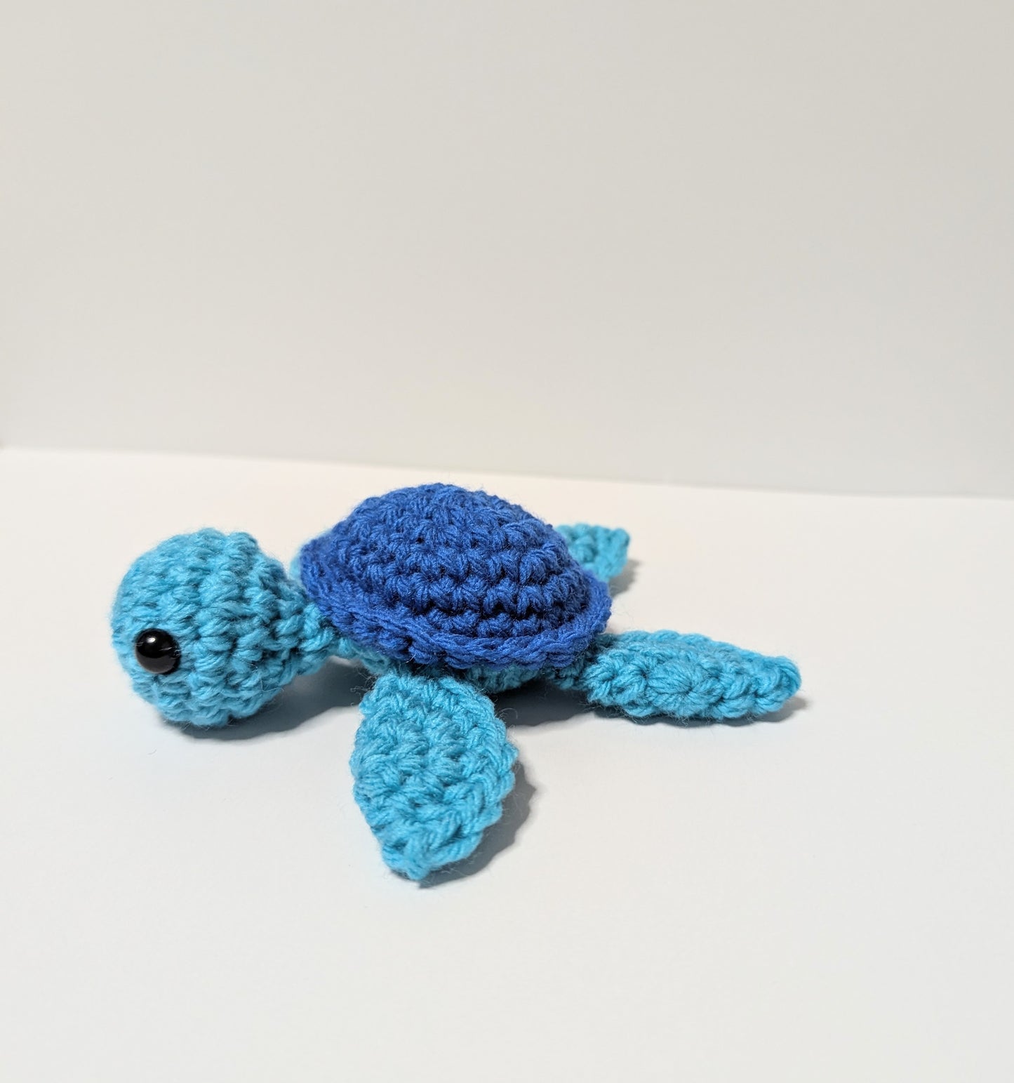 Sea Turtles