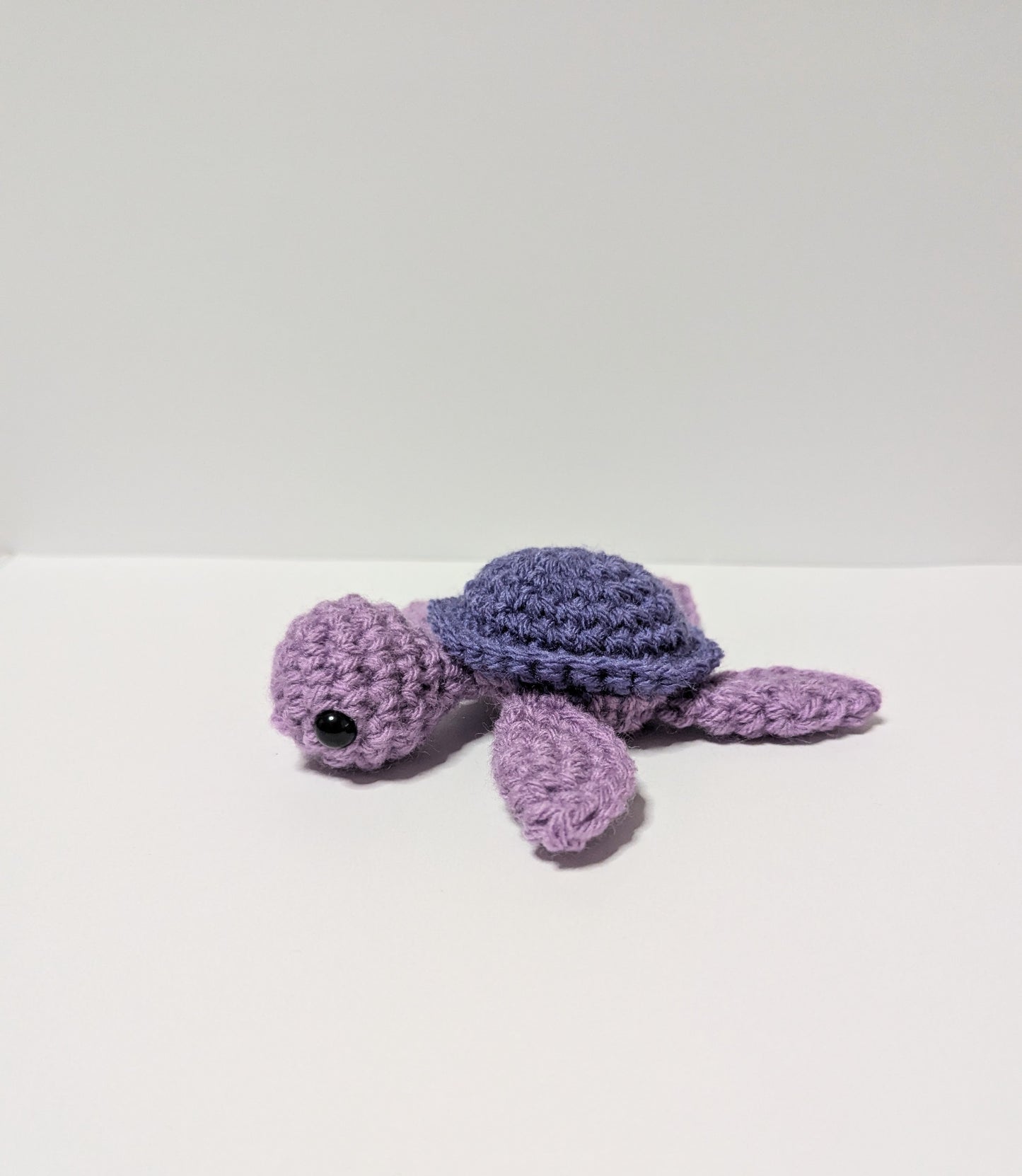 Sea Turtles