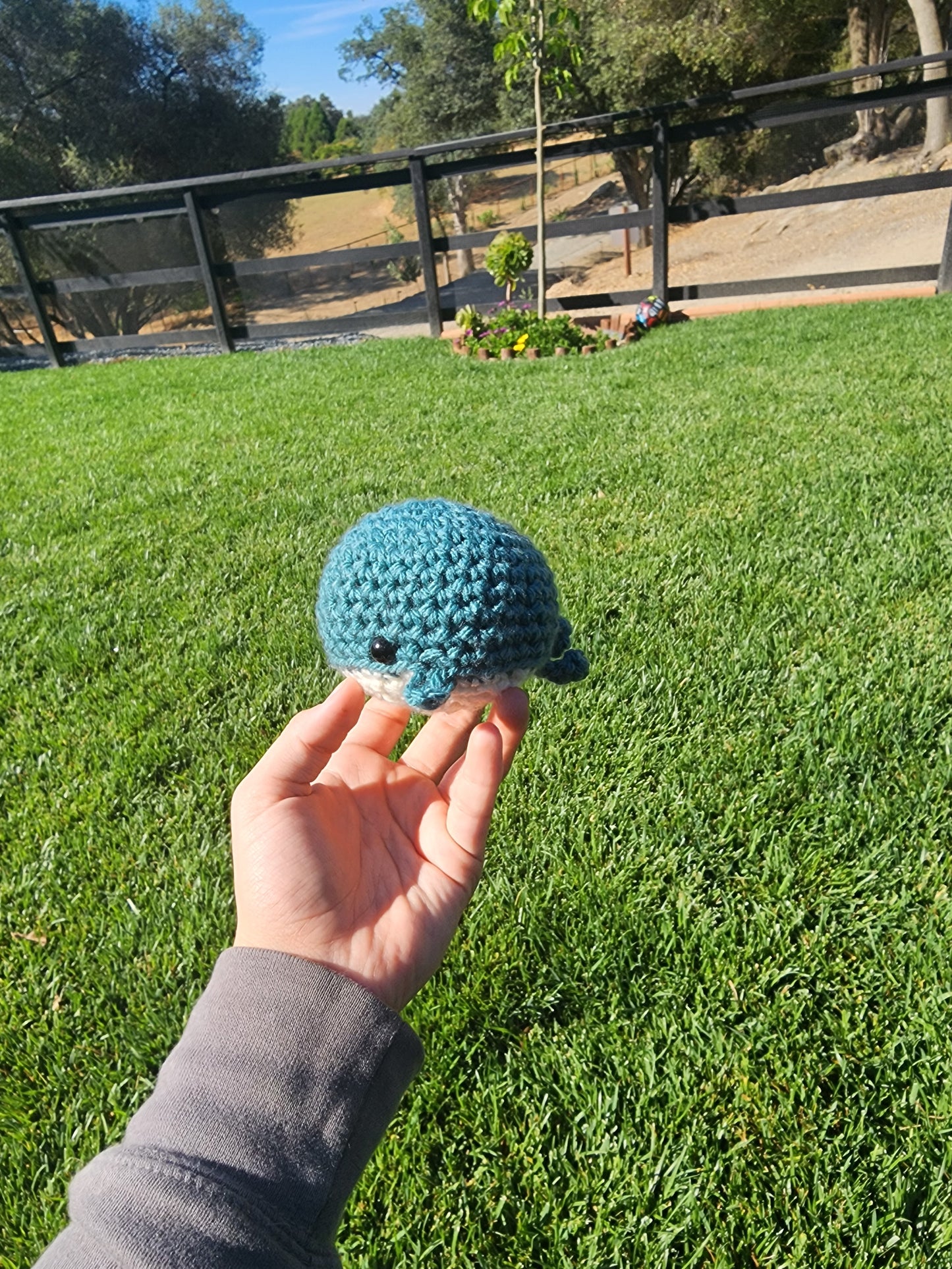 Mini Whales