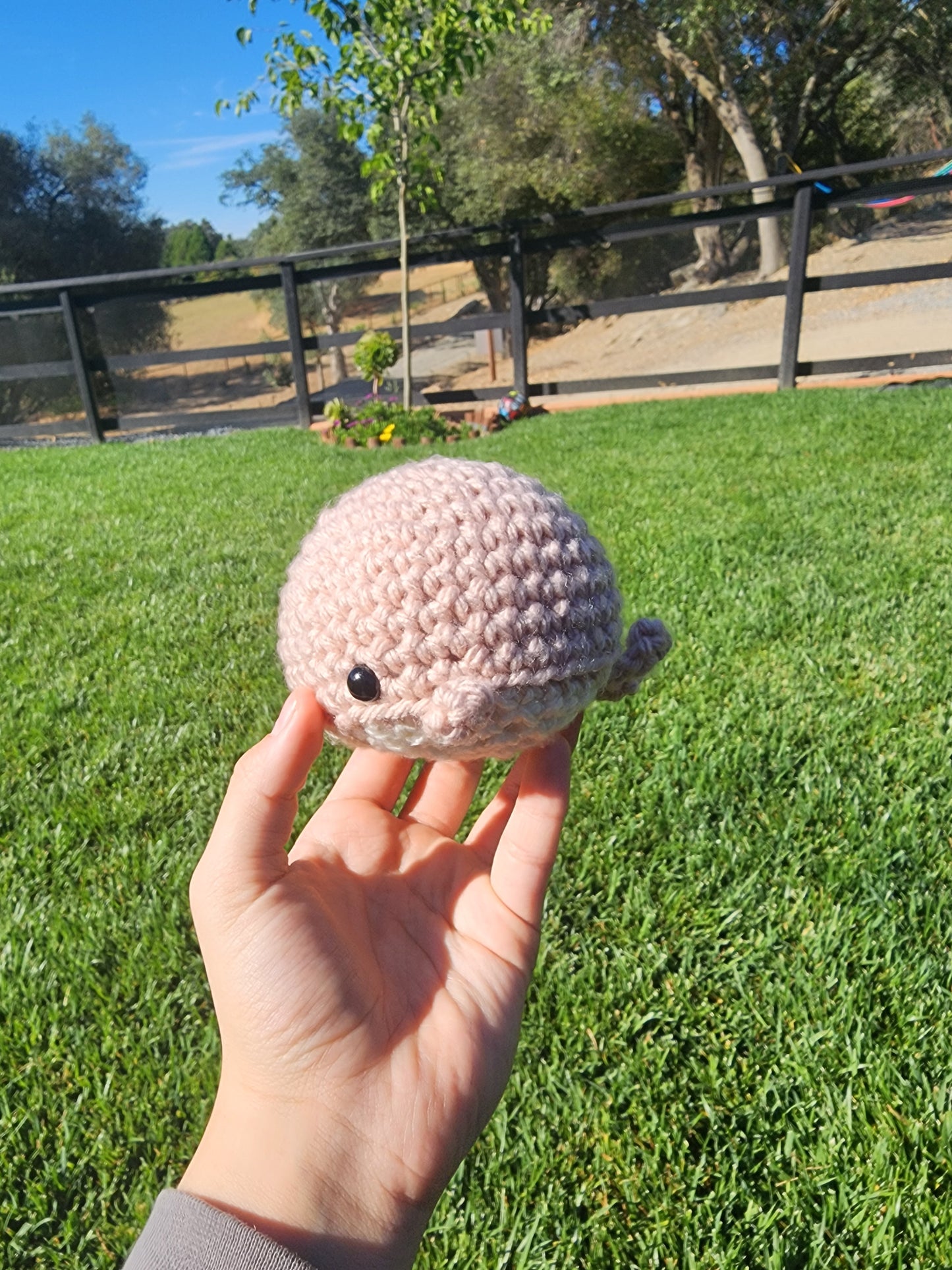 Mini Whales