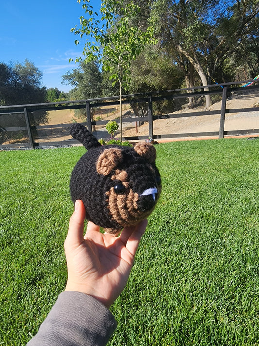 German Sheperd