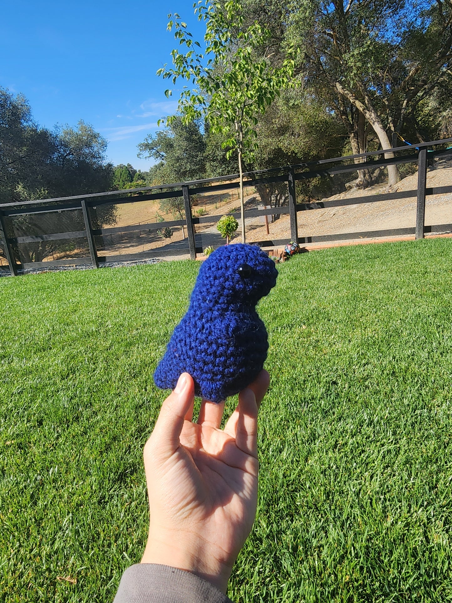 Mini Dino