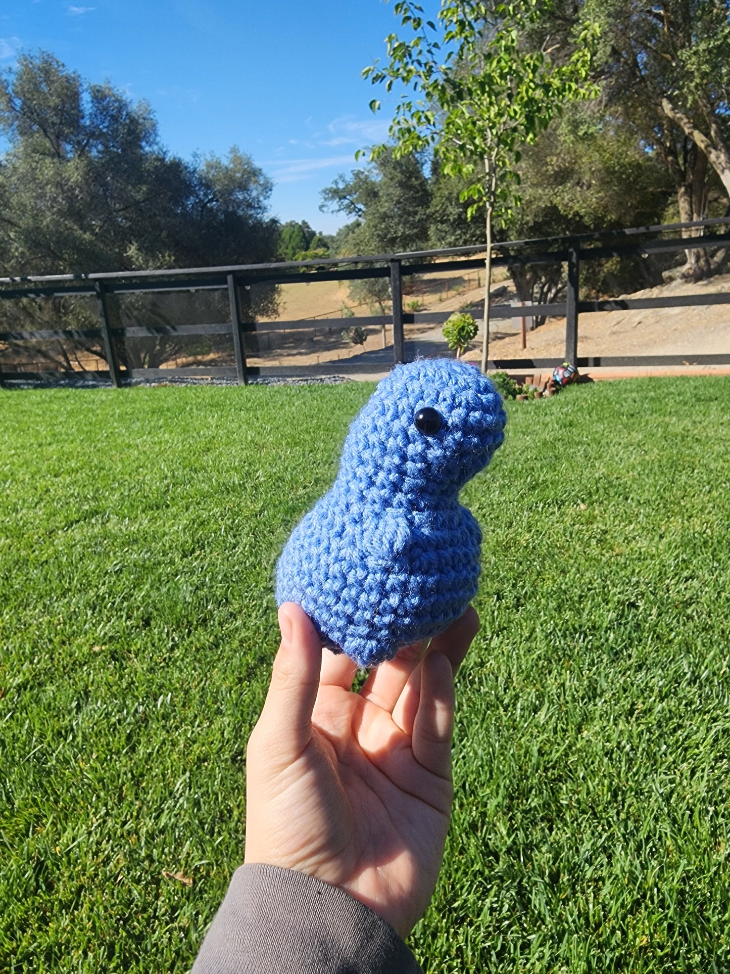 Mini Dino