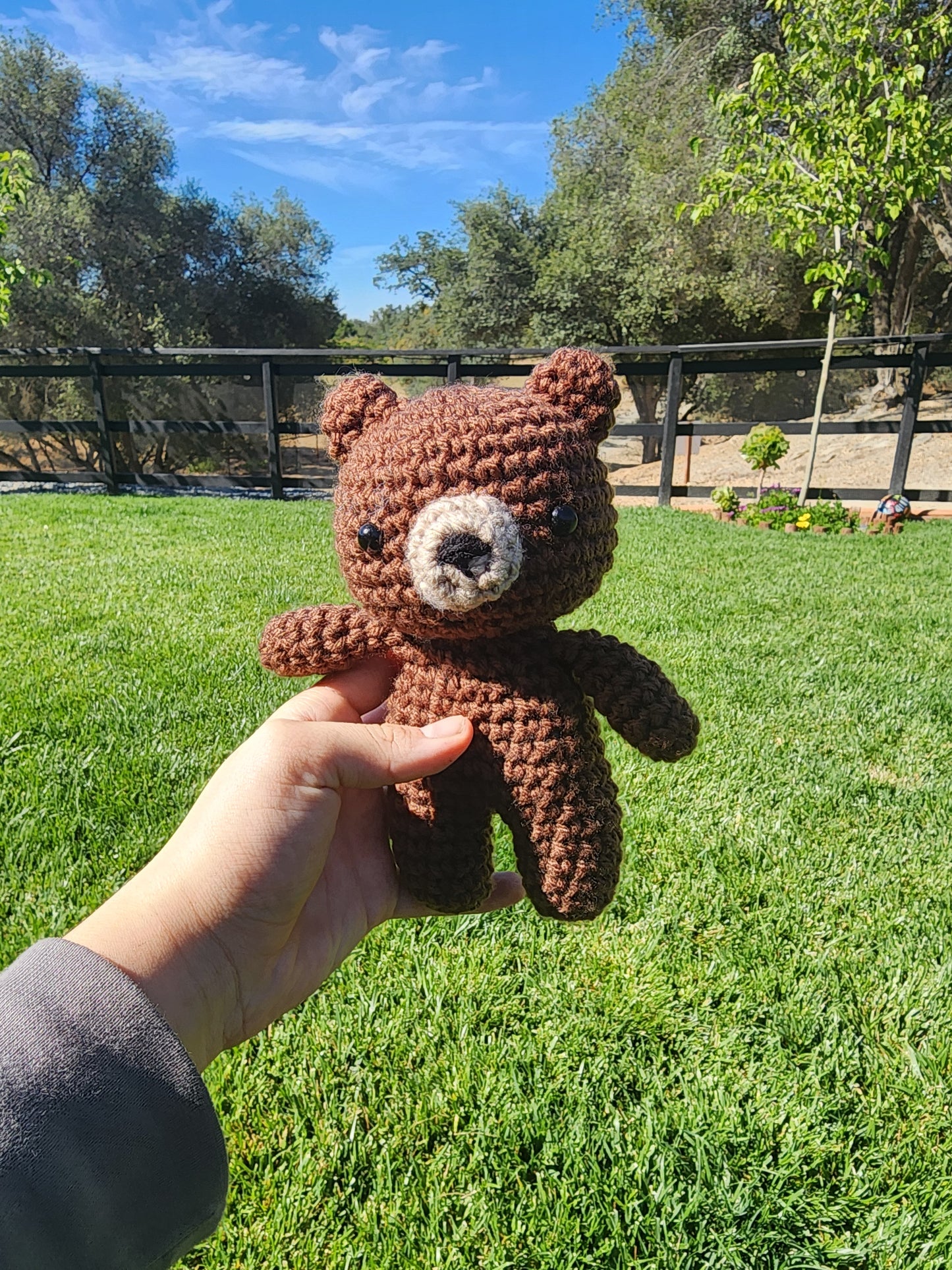 Teddy Bear