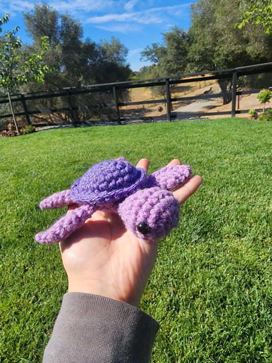 Mini Sea Turtles
