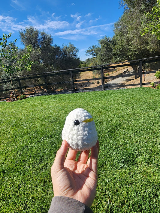 Mini Duck