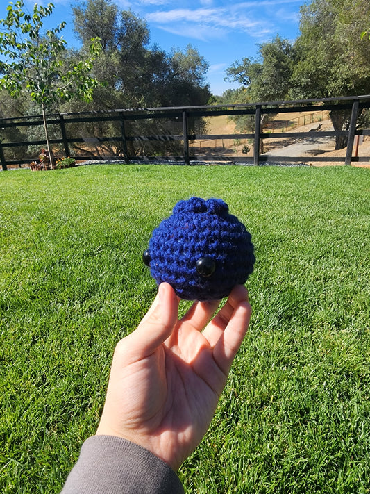 Blueberry