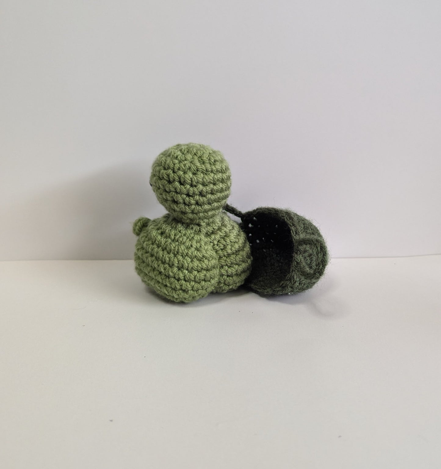 Cheeky Turtles